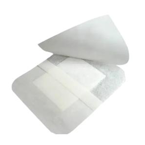 SW3111 Transparent Wound Dressing Film for Fast Recovery Solutions