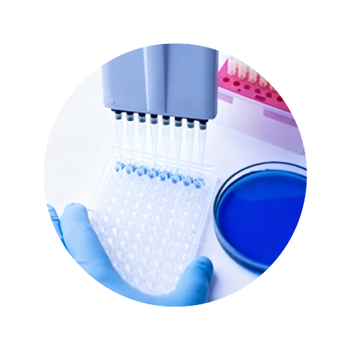 Labware
